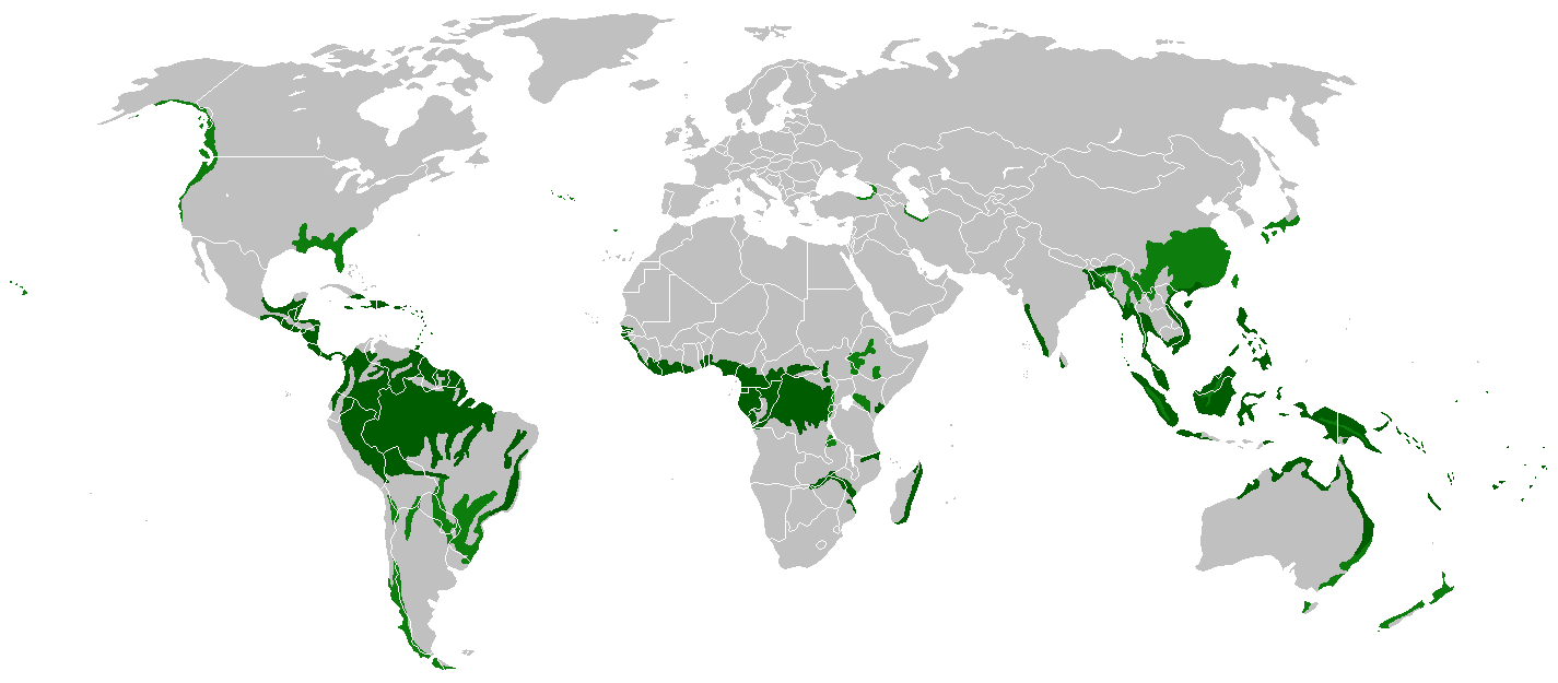 Rain Forest Location Map