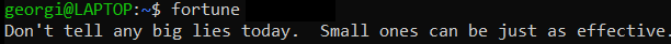 Fortune Linux